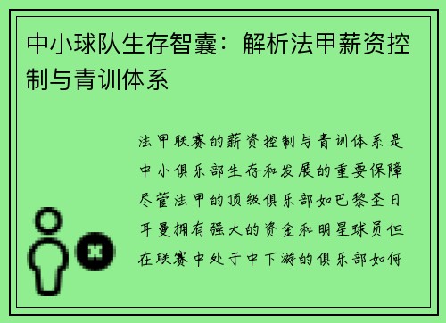 中小球队生存智囊：解析法甲薪资控制与青训体系