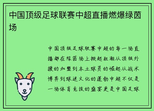 中国顶级足球联赛中超直播燃爆绿茵场