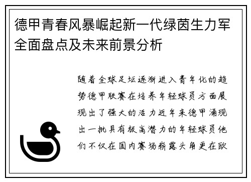 德甲青春风暴崛起新一代绿茵生力军全面盘点及未来前景分析